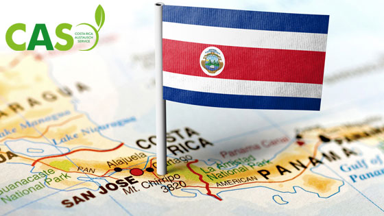 Logo Costa Rica Austauschsevice und eine Costa Rica Flagge