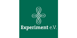 Logo Experiment