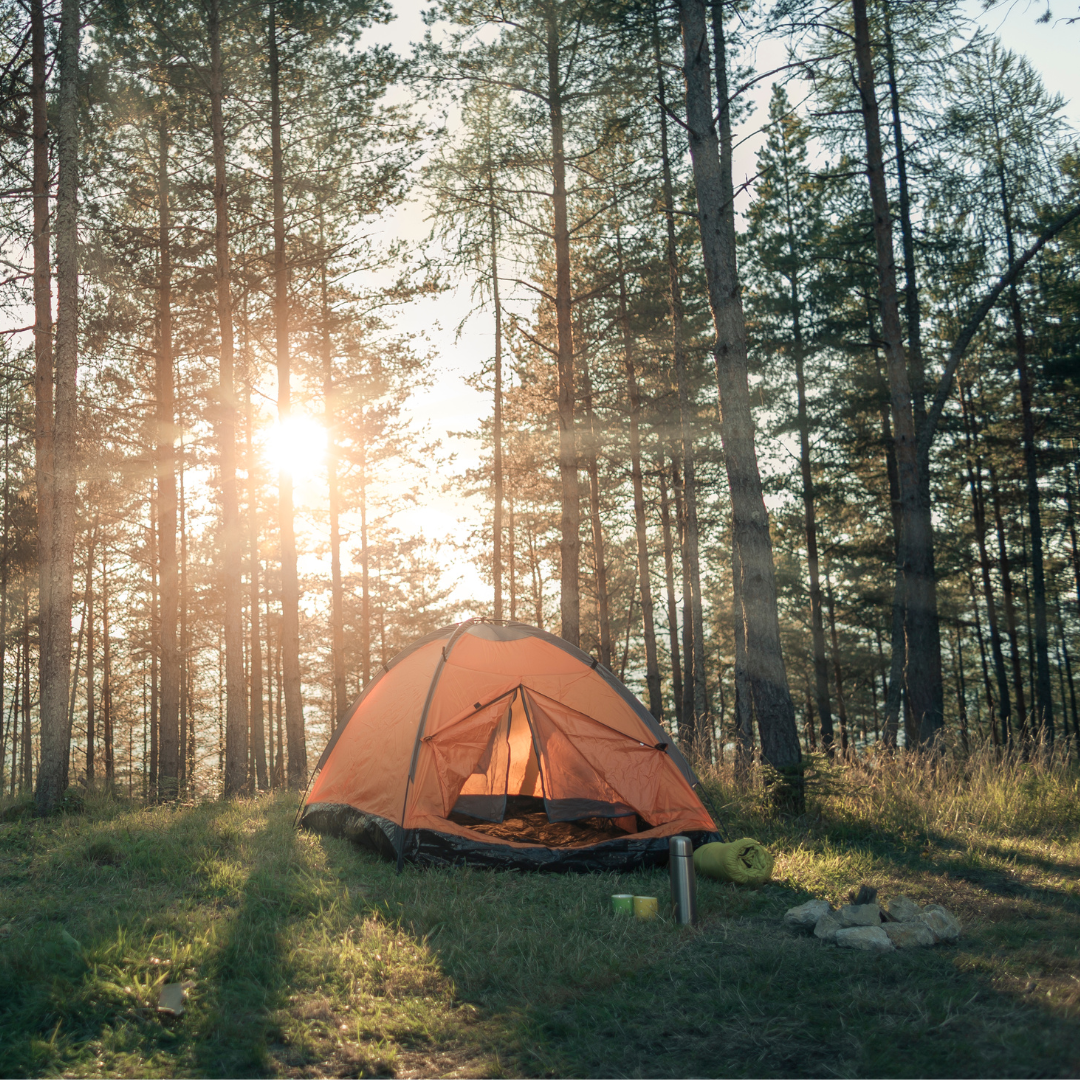 weltweiser Newsletter Reisetrend Camping