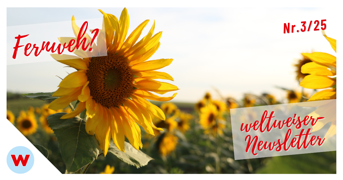 Newsletter Nr. 3/25 Header