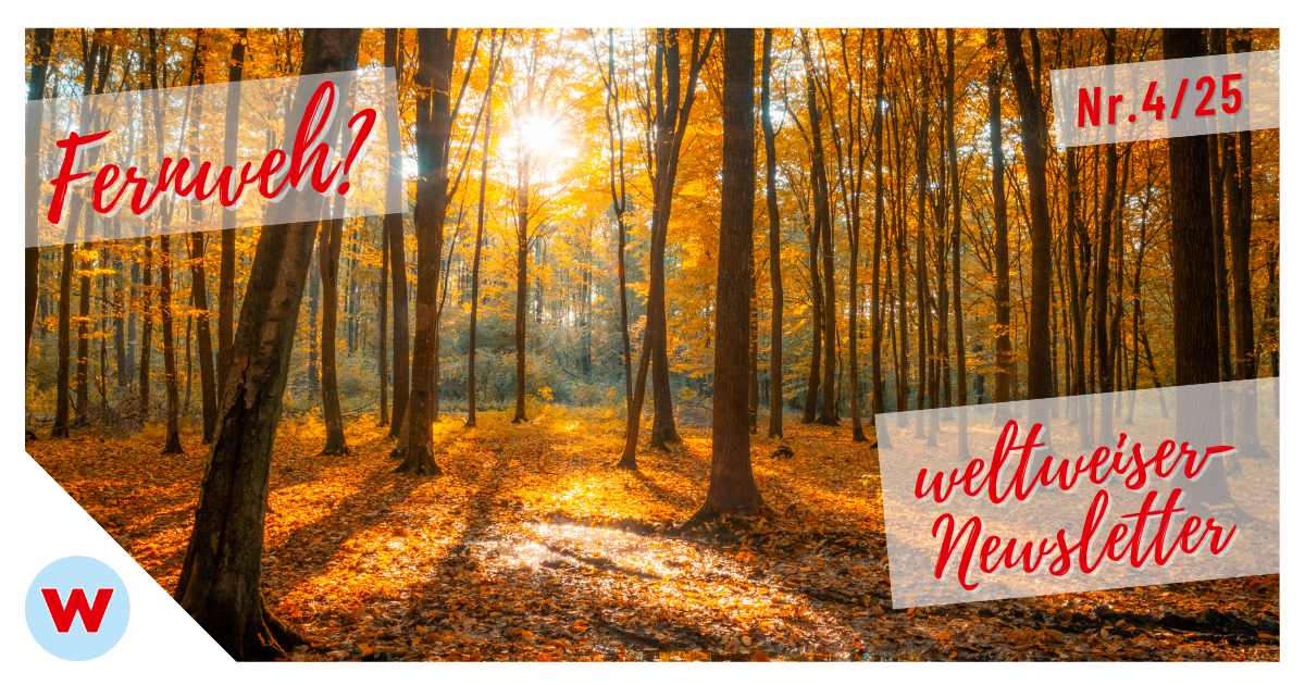 Newsletter Nr. 4/25 Header