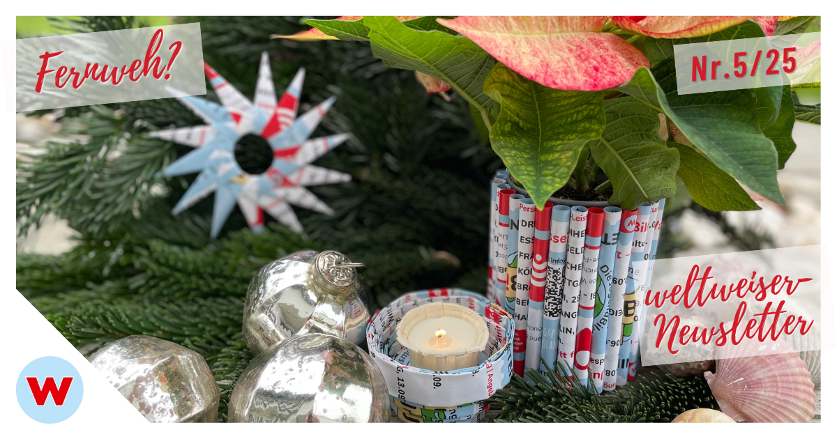 Newsletter Nr. 5/25 Header