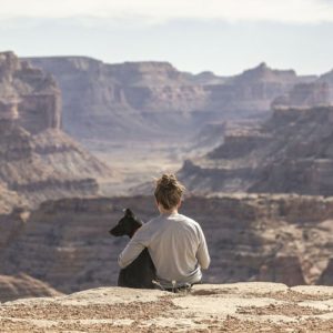 weltweiser · Austauschorganisationen im Vergleich